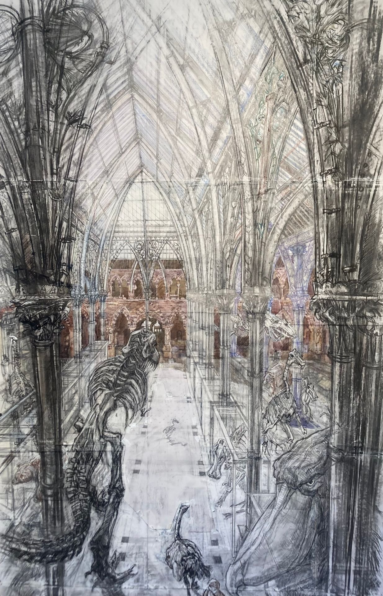 Tim Ashley - Natural History Museum, Oxford