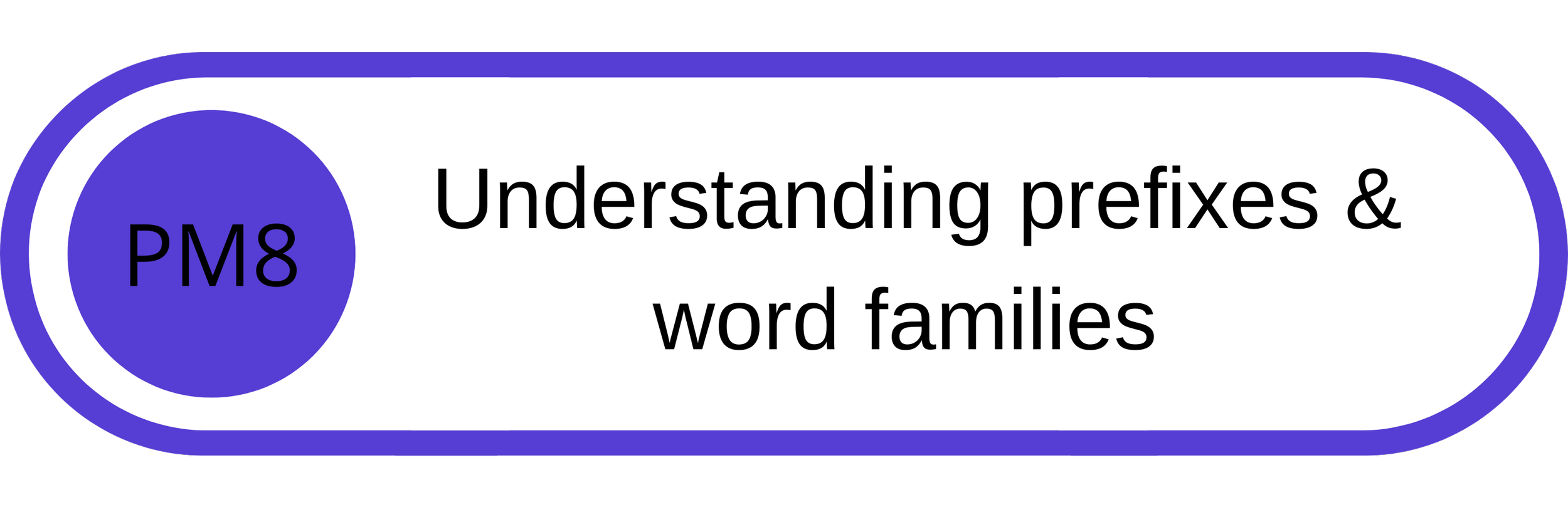 Graphic with purple circle labeled 'PM8' and text reading 'Understanding prefixes & word families'.