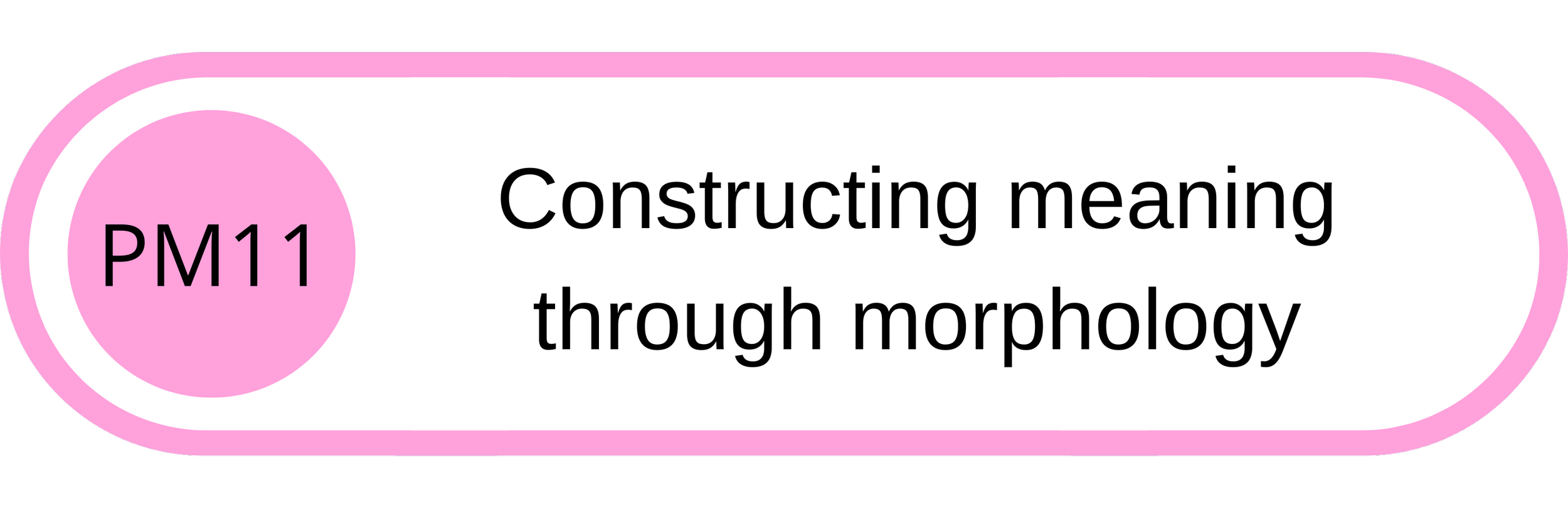 Pink and white diagram labeled P11 with the text "Constructing meaning through morphology".