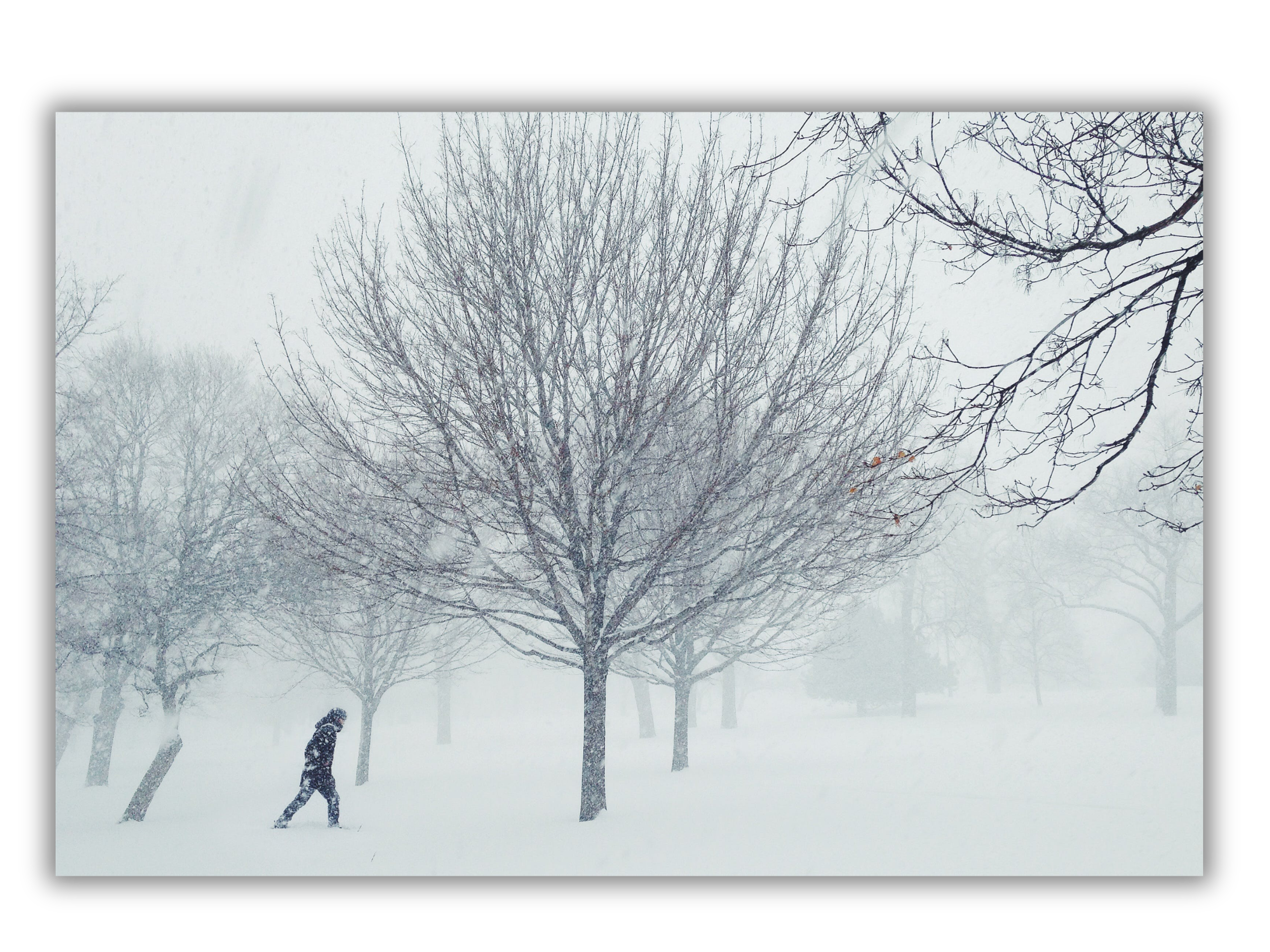 A person walking through a snowy park with leafless trees and foggy weather.
