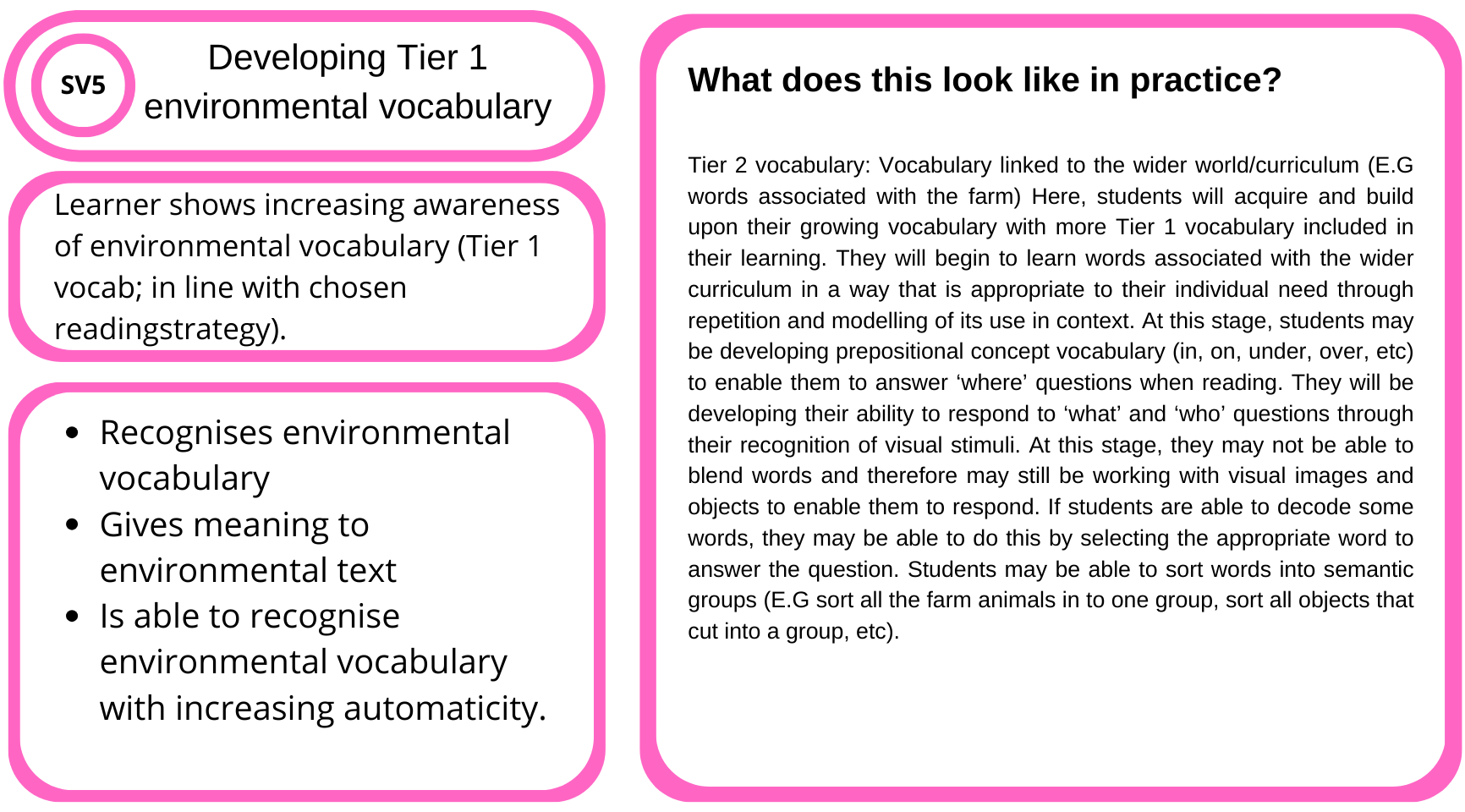Educational chart with pink borders explaining environmental vocabulary development for learners. The left side shows progress from recognition to automaticity, including bullet points about recognizing environmental vocabulary, giving meaning to environmental text, and increasing automaticity. The right side contains detailed text about practicing environmental vocabulary linked to a broader curriculum, emphasizing recognition of visual stimuli, response to 'where' questions, and sorting words into semantic groups.