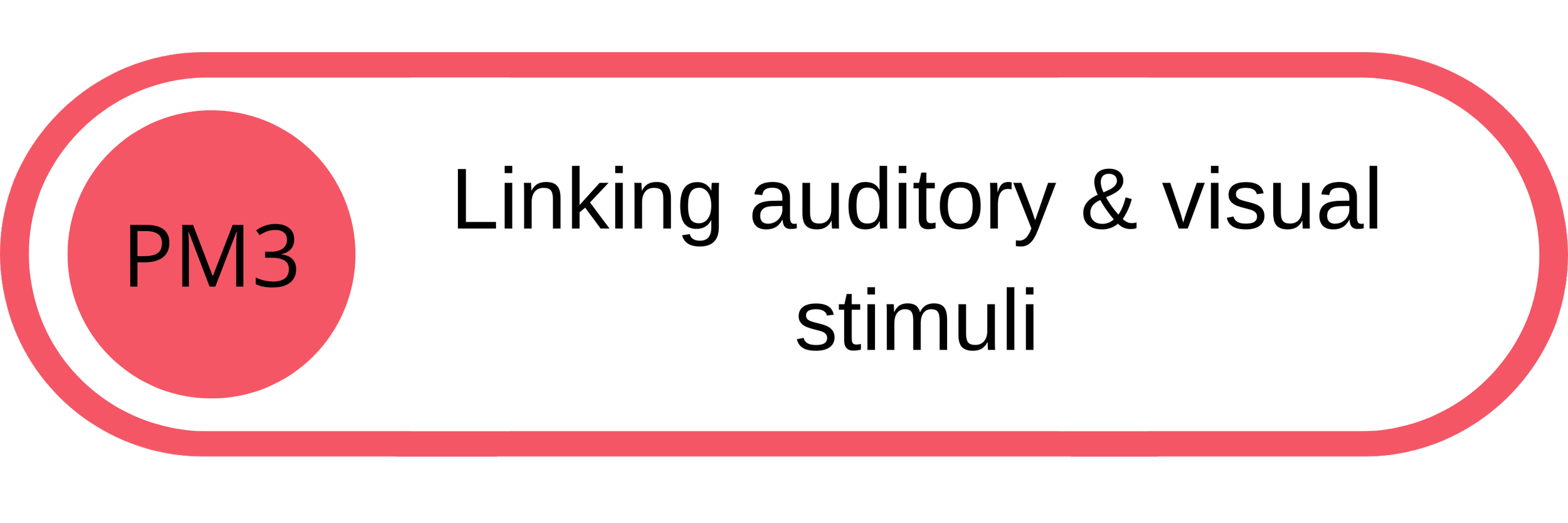 Diagram showing linking auditory and visual stimuli with PM3
