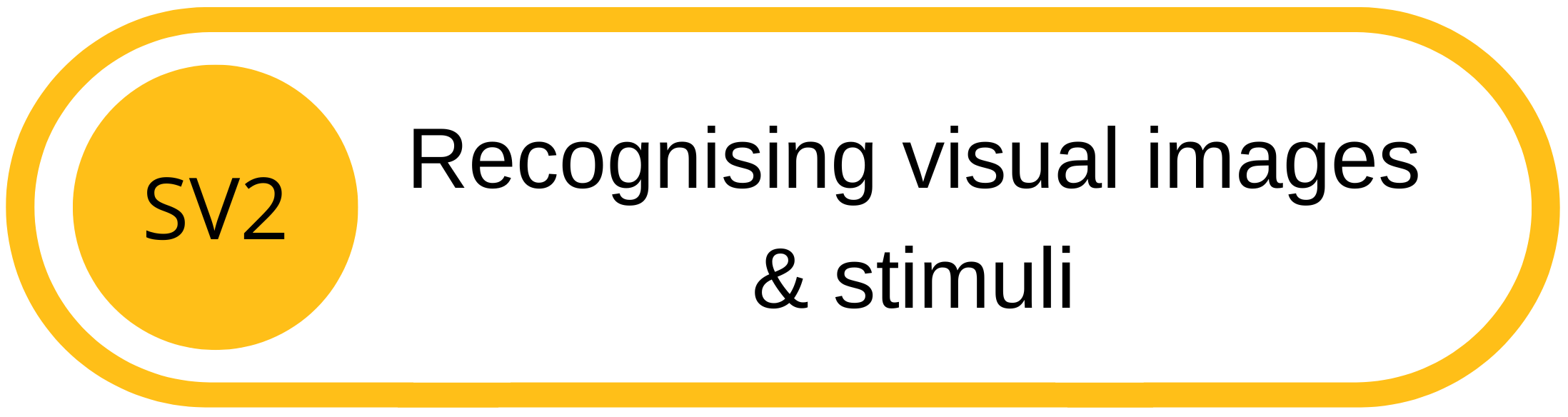 A label with a yellow circle on the left containing the text 'SV2'. To the right, black text reads 'Recognising visual images & stimuli' on a white background with a yellow border.
