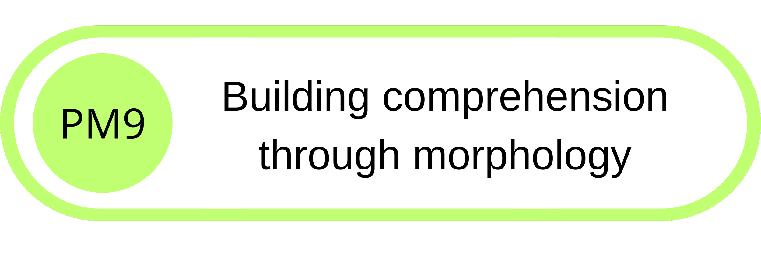 Flowchart step labeled 'PM9' leading to an oval with the text 'Building comprehension through morphology' in black font on a white background with a green border.