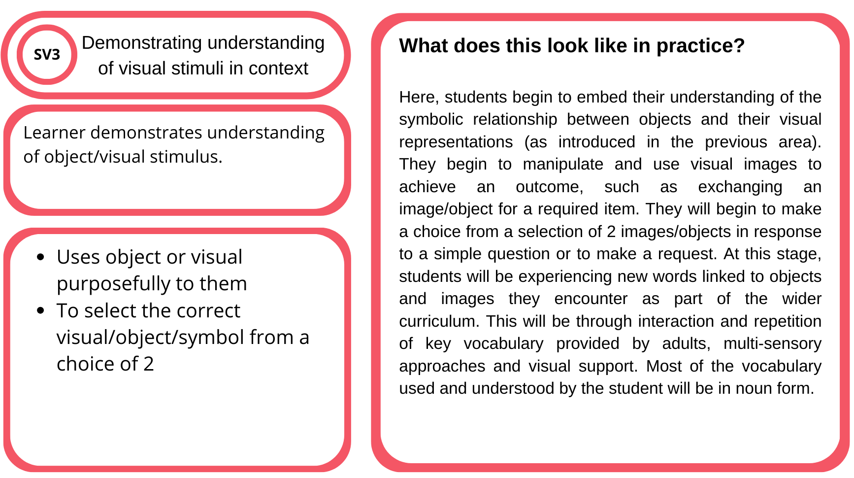 Educational chart labeled 'What does this look like in practice?' explaining visual symbol understanding in students, with three points about object understanding, purposeful use, and selection from two options, accompanied by detailed descriptive text.