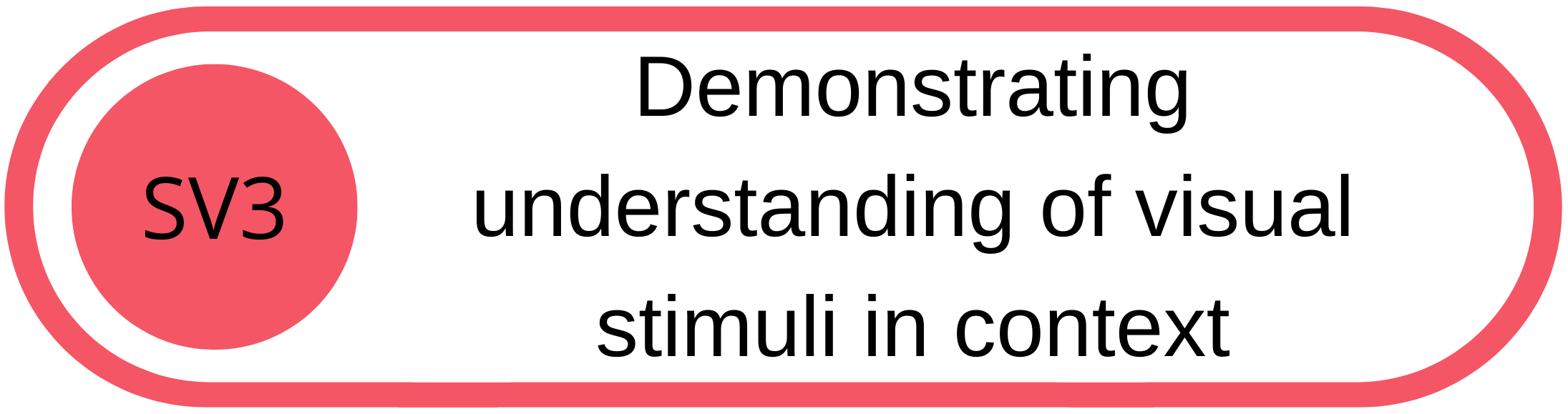 A diagram showing the concept of demonstrating understanding of visual stimuli in context, with an emphasis on SV3.