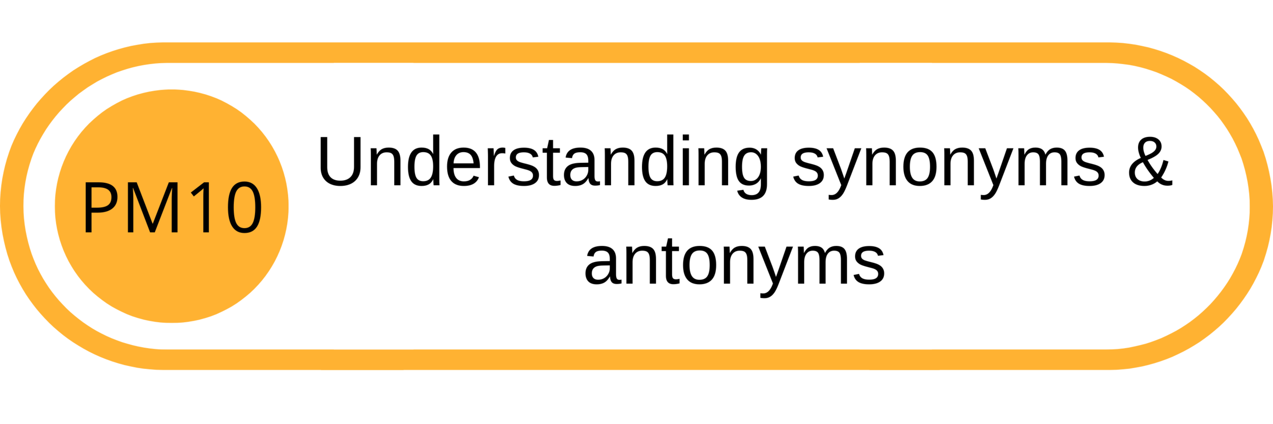 Graphic with the text 'PM10 Understanding synonyms & antonyms' inside a rounded rectangle with orange borders and a large orange circle on the left containing 'PM10'.
