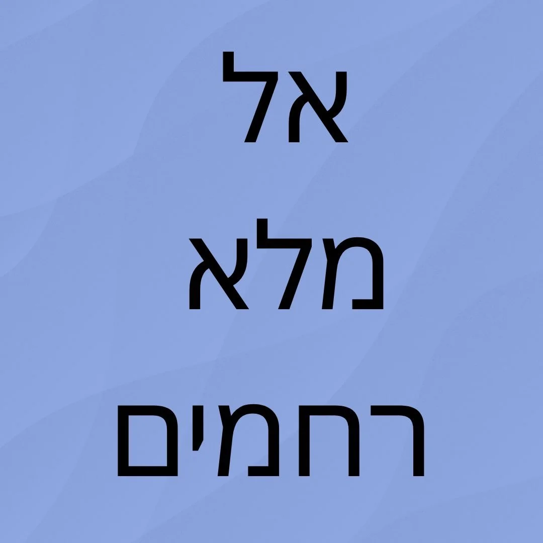 El Malei Rachamim, God full of Mercy, we remember all of the souls lost to war since October 7, 2023. We honor their memory, and vow to make the world a better place in their name.