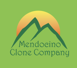 Mendocino Clone Company testimonial for CannaBIZ Collects
