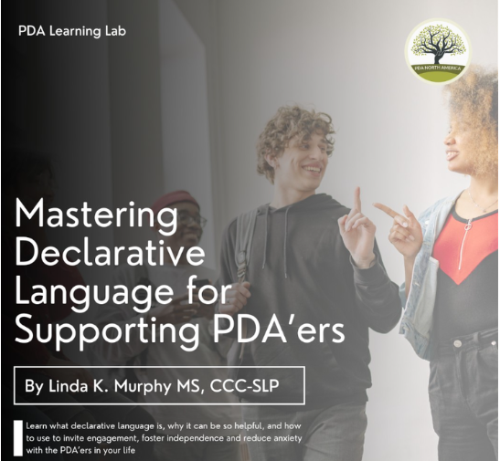 Mastering Declarative Language for PDAers