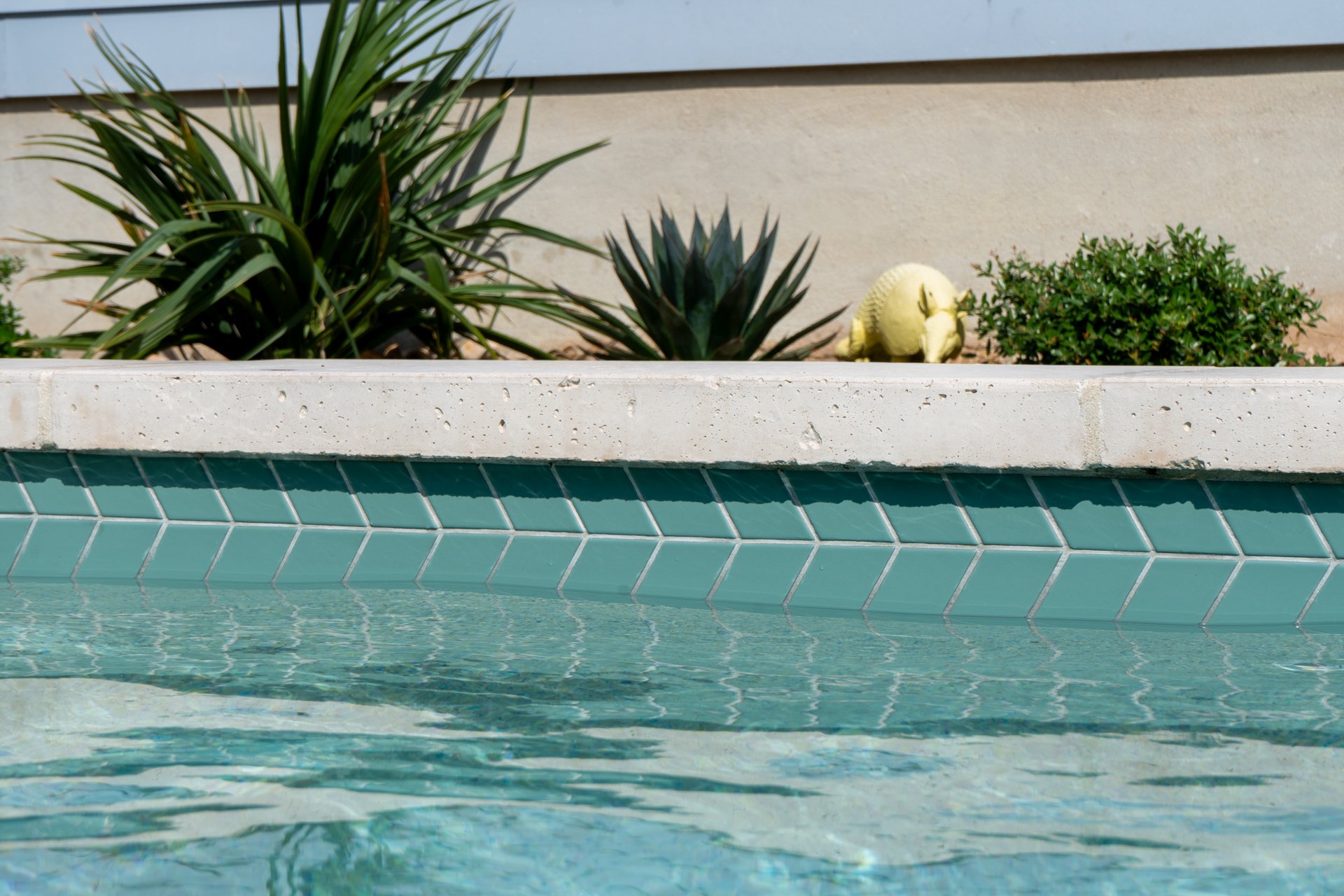 TinyPools-Agave-18.jpg