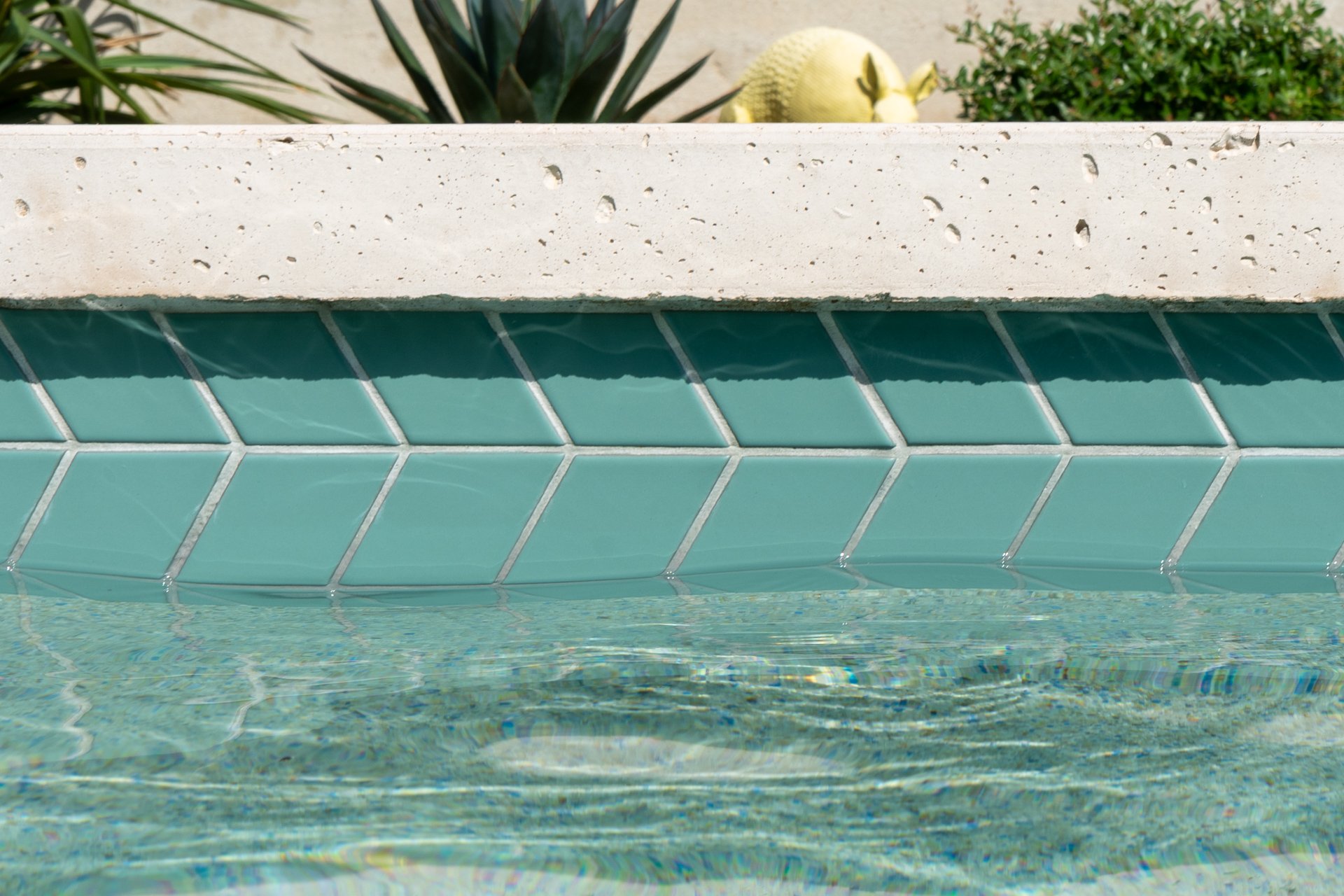 TinyPools-Agave-17.jpg