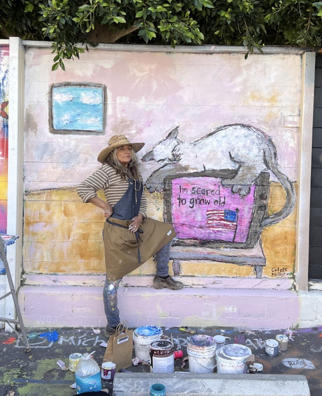 Canvas Rebel Interview 2023