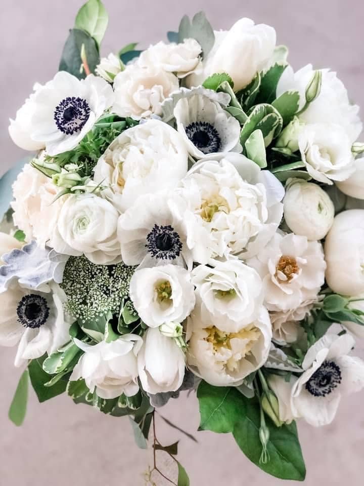 blume wed55.jpeg