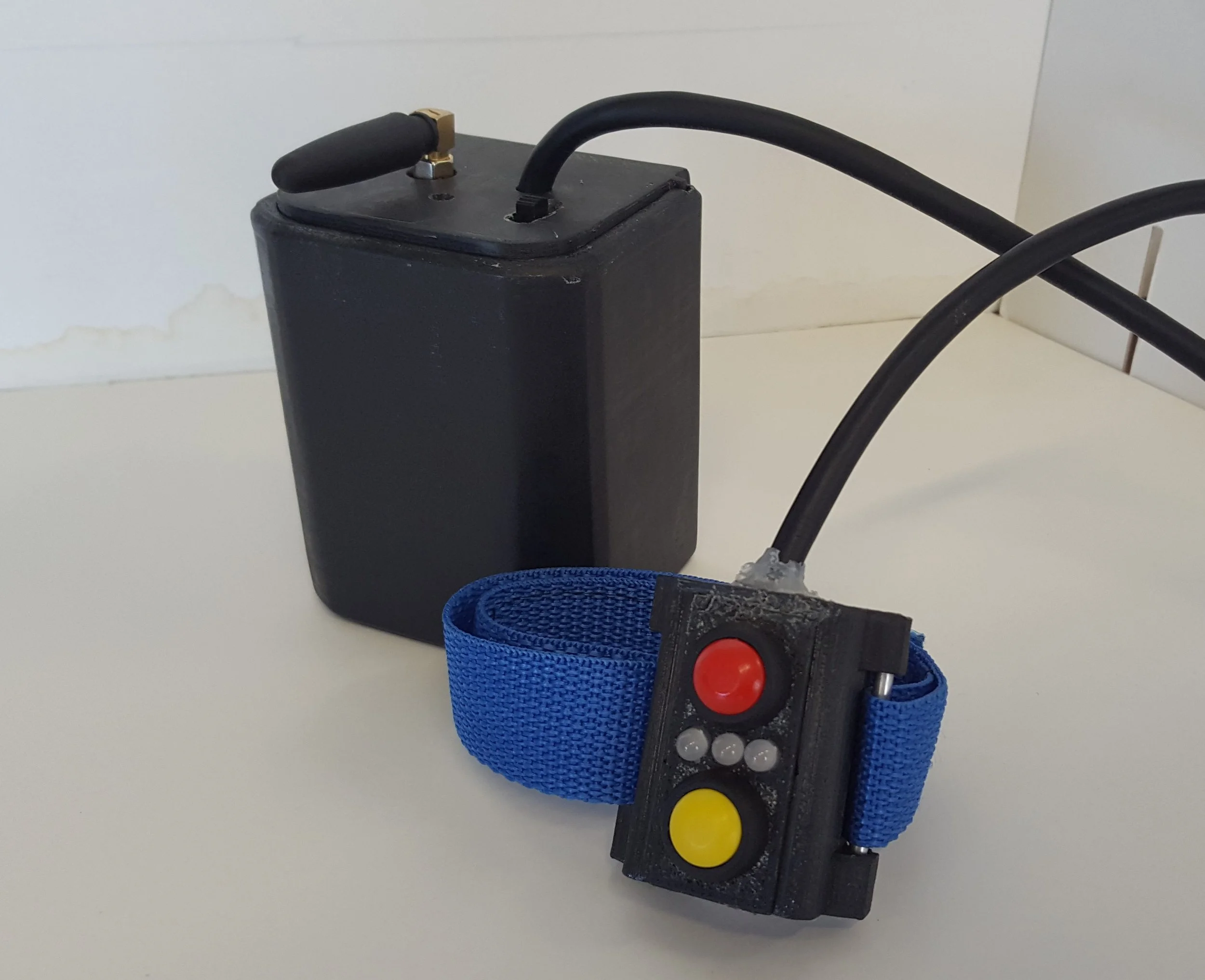 Lone Worker Alert device (2016)