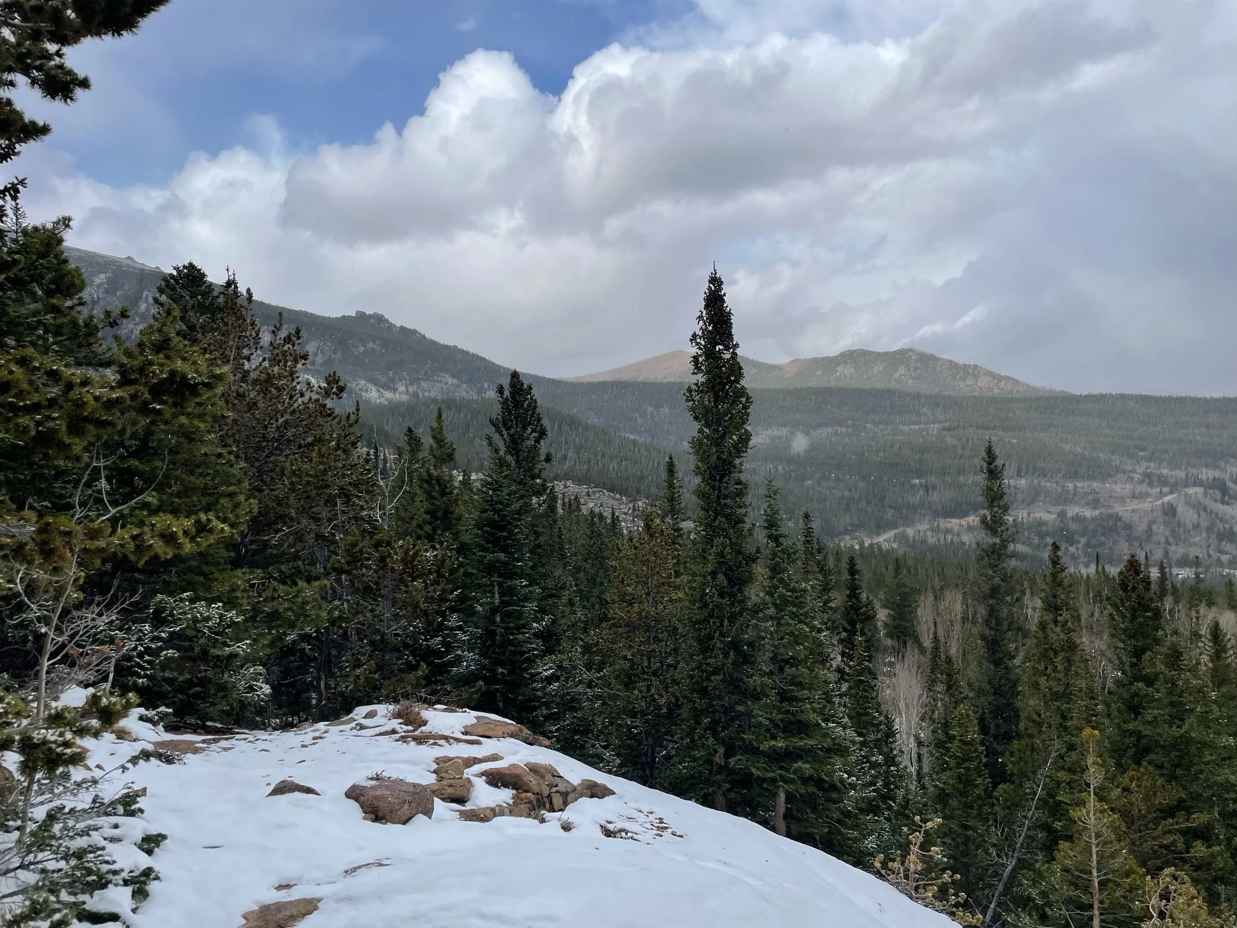 Supporting Little Grievers During the Holidays