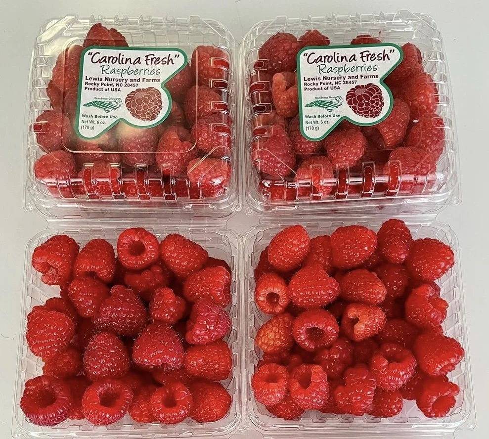 Raspberries