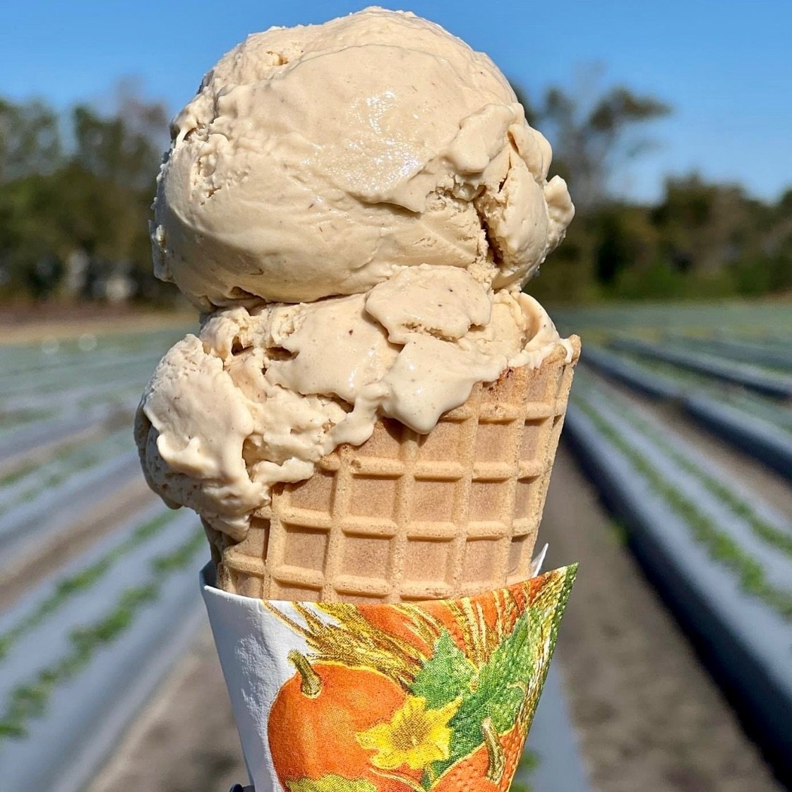 Pumpkin spice and living my best life 🍦