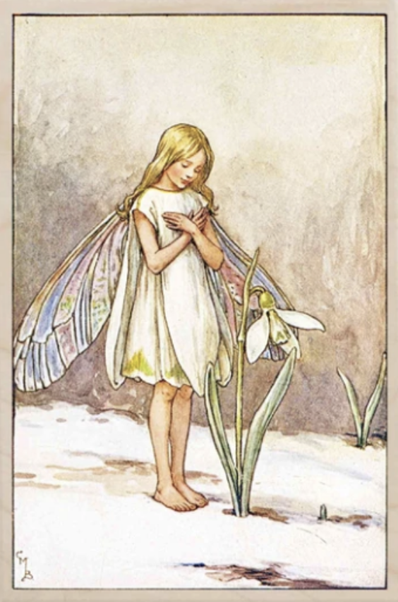 Snowdrops of both hope and remembrance