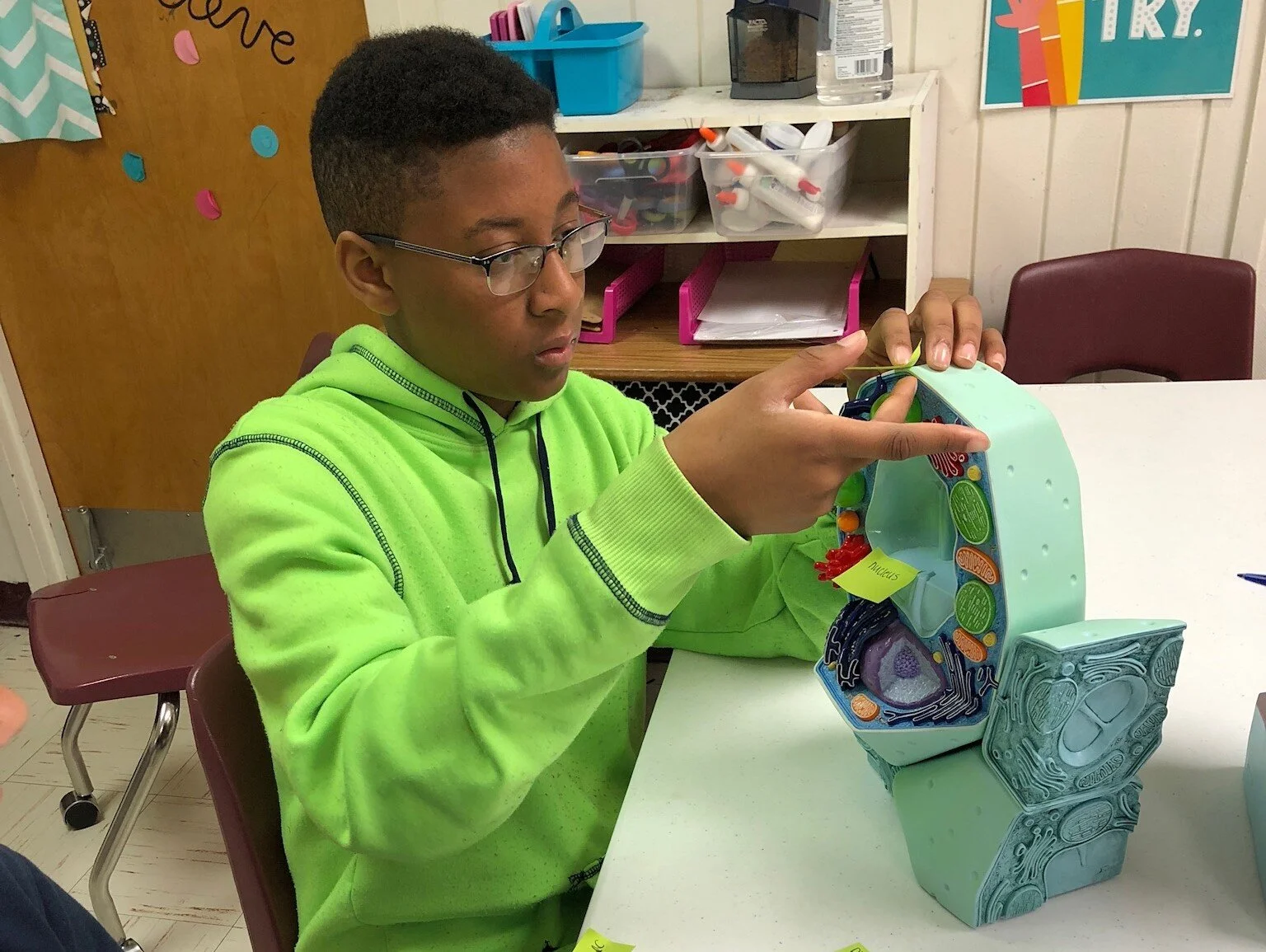 Modeling+Success+Web.jfif