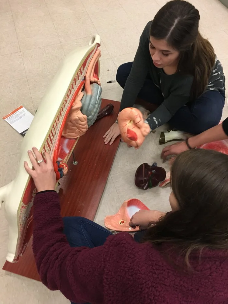 Holding+Our+Hearts+Web.jfif