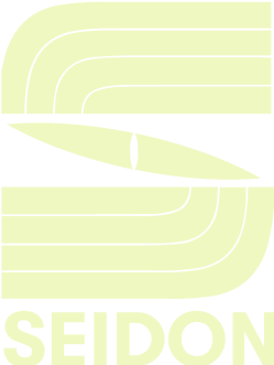 SEIDON