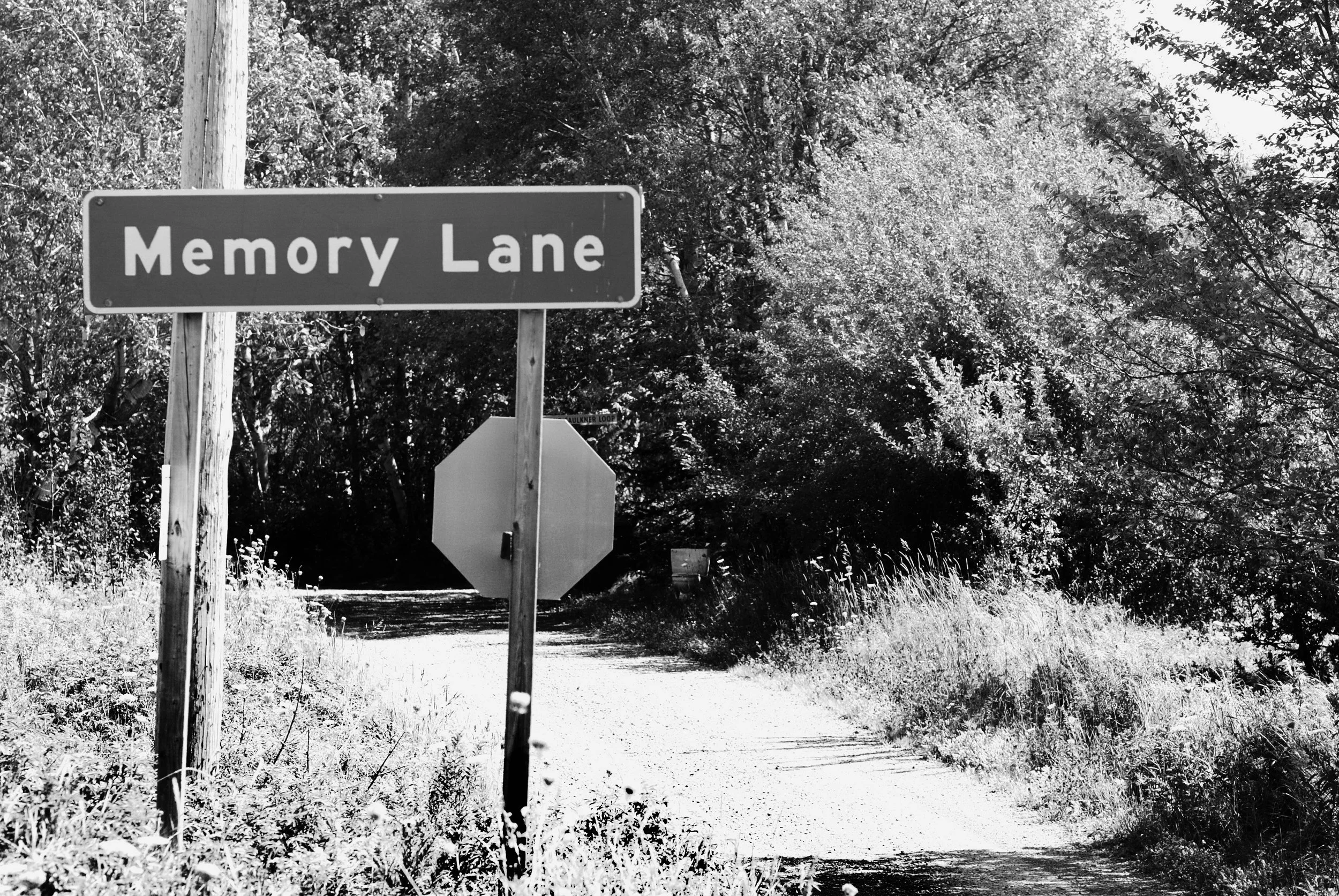 Memory and Brain Development