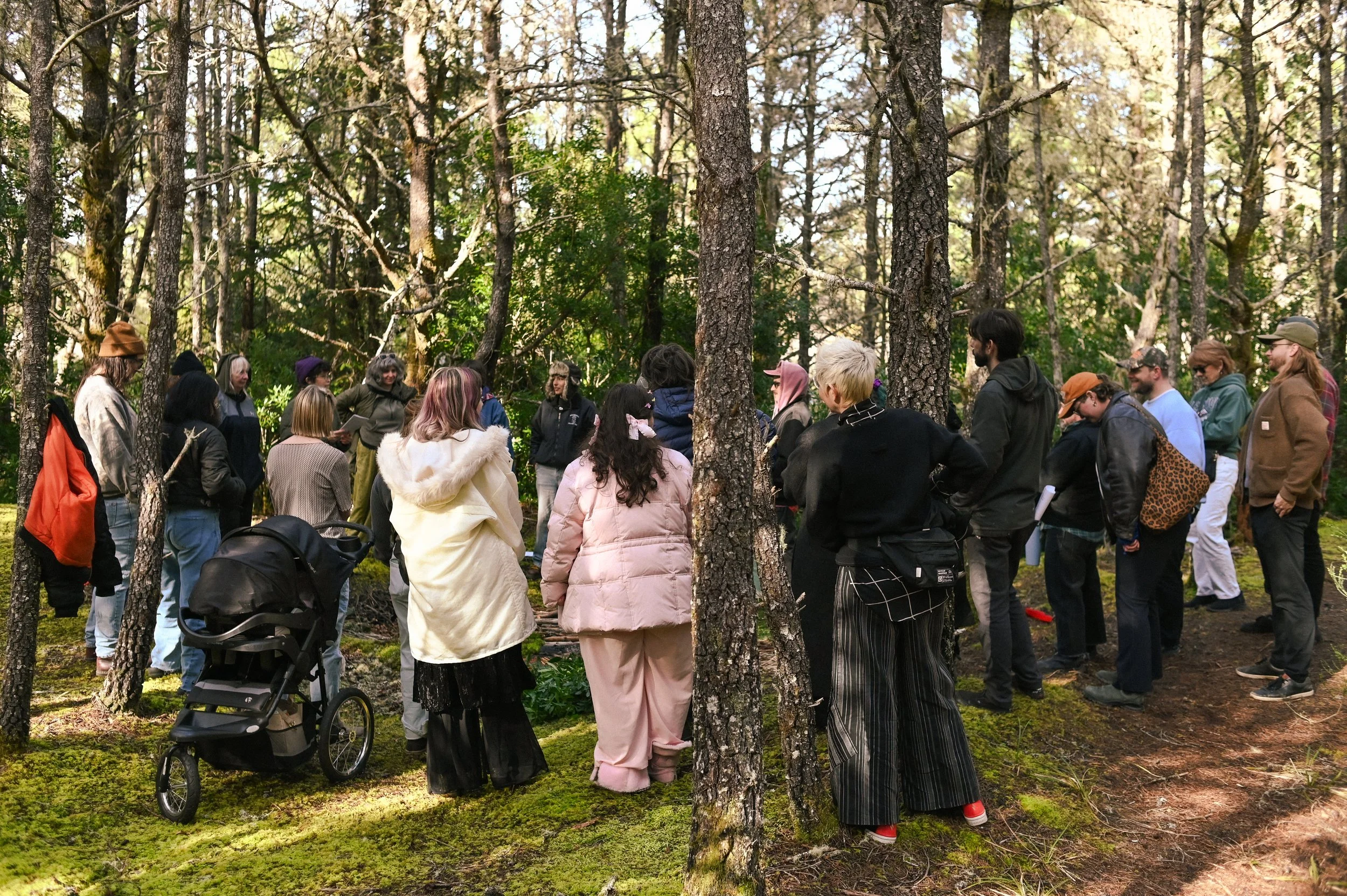 Group of people gathered in a forest, participating in an outdoor activity or workshop, surrounded by tall trees and green moss on the ground.