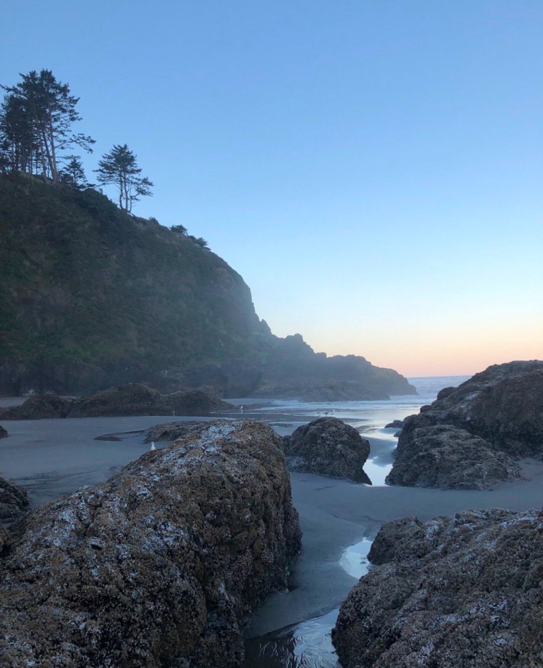 Where the rugged coastline meets the misty sea.

Come stay on the beach at the tail end of spring, when the breeze begins to carry the warmth of summer and the days stretch a little longer. This is the season when there are more blossoms than footpri