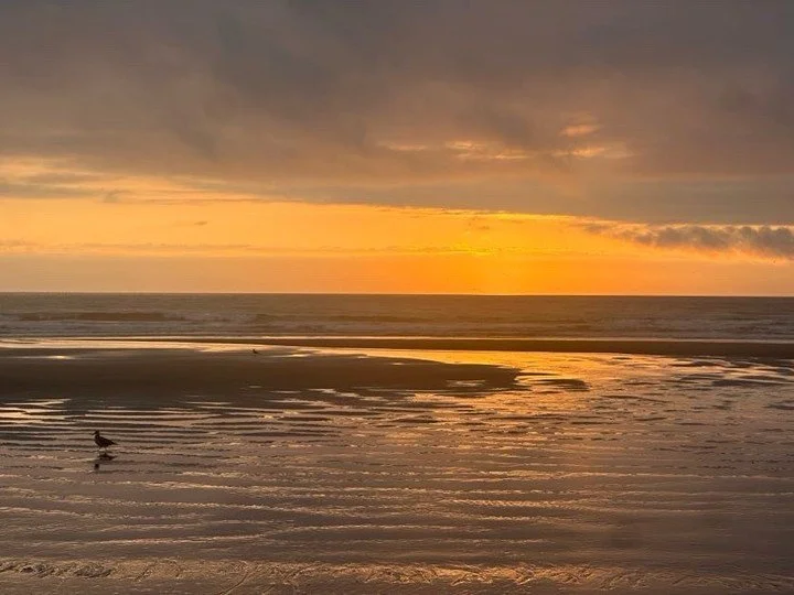 Saying a sweet farewell to summer and a heartfelt thank you to everyone who spent time with us this season. 🌊✨

We&rsquo;re looking forward to the coast&rsquo;s second secret summer in September and October. If you haven&rsquo;t yet soaked in some c