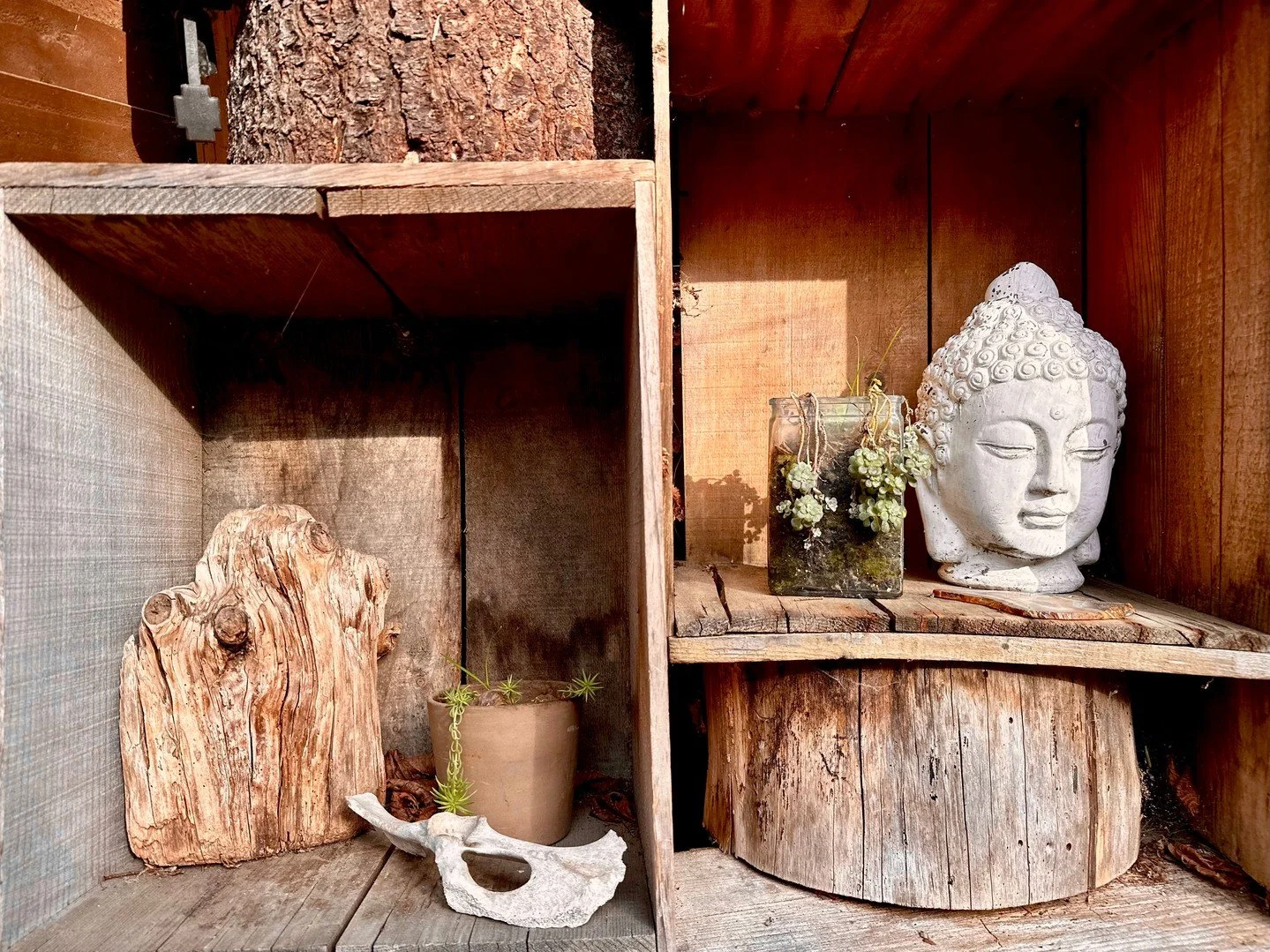 “The sou'wester was such a lovely place to explore this project. I had been desiring a space to create with tennis balls since I started playing in 2023. When my father passed away a month prior, I felt a calling to take time away from my day-t