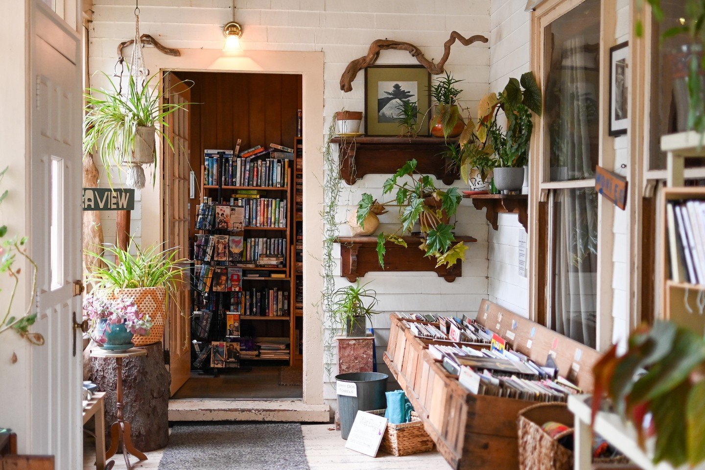 Our You Are Loved Special is made for holiday gifting. Give someone a winter escape to the coast with 14 percent off two or more nights and a bottle of ros&eacute; waiting in their space.
Book your gift at souwesterlodge.com/specials