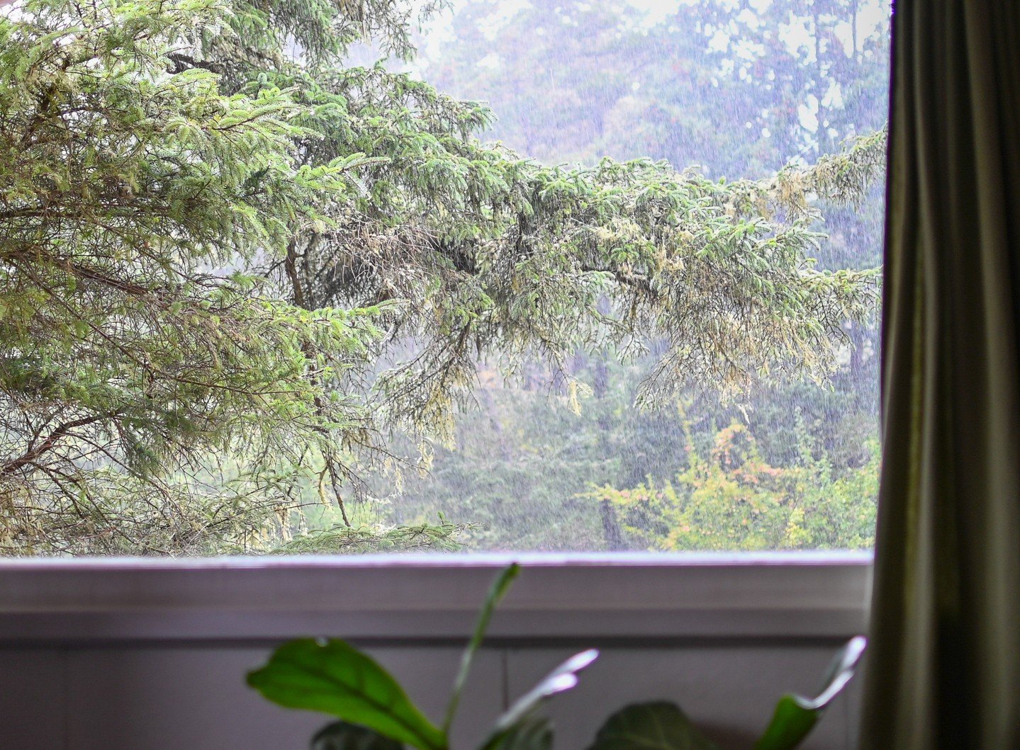 Misty mornings. Soft rain on the evergreens. That quiet winter magic on the coast that makes you breathe deeper and move slower.

Warm drinks, long walks, cozy rooms, and time to just be.
Come unwind, reset, and warm your soul