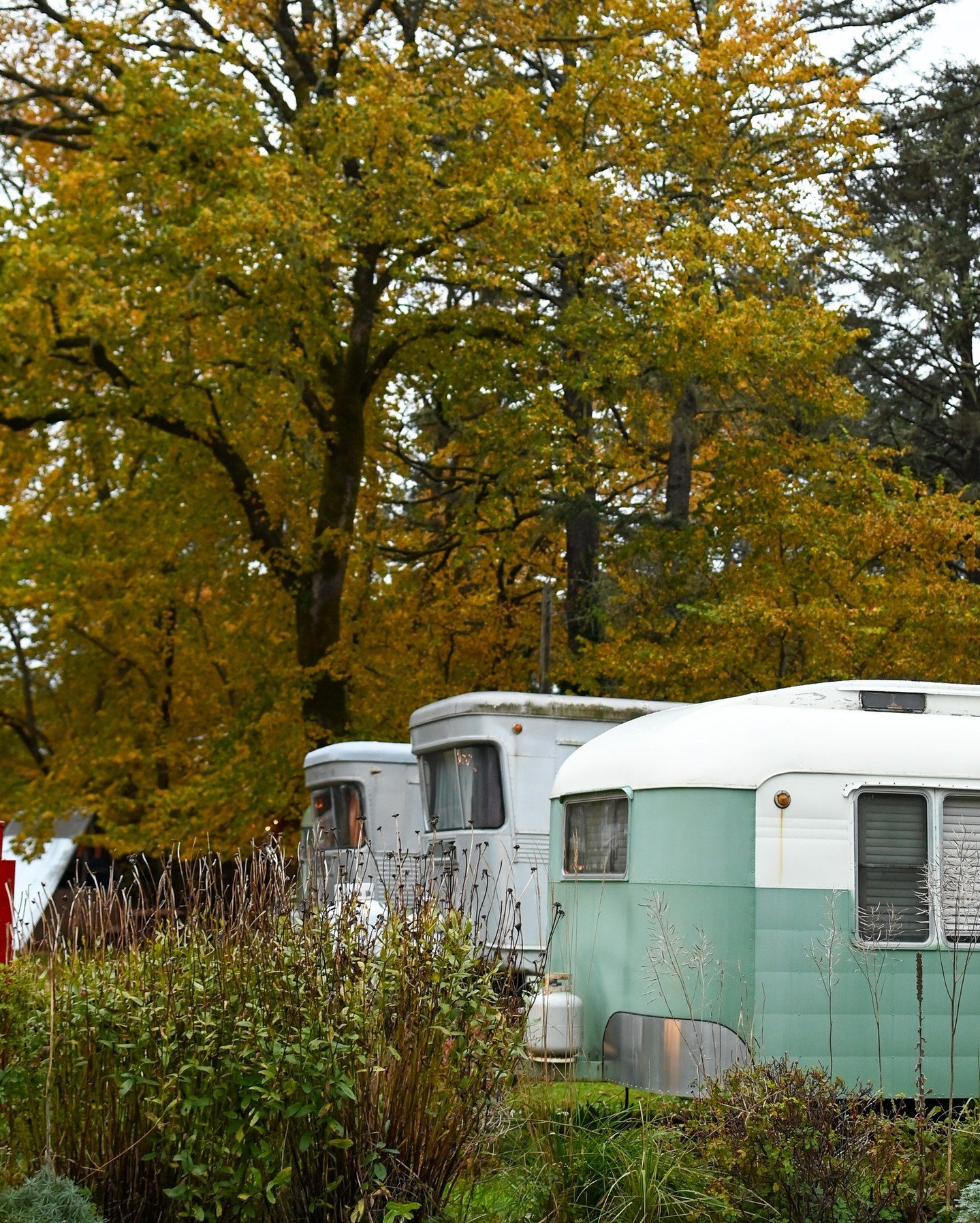 Warm up the winter with the &ldquo;You Are Loved Special&rdquo;. Save 14 percent on two or more nights and share a bottle of ros&eacute; in your cozy space.

Plan your winter escape at souwesterlodge.com/specials