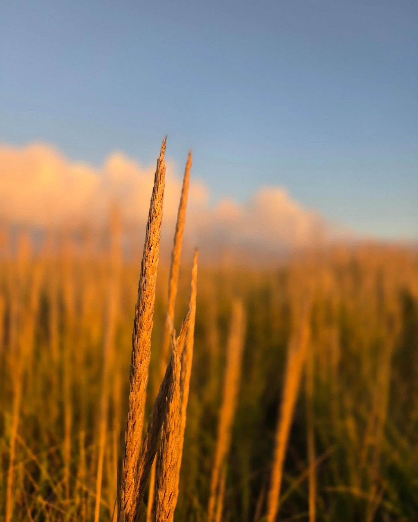 &ldquo;I was close to the end of my first draft of my novel, which Ive been plugging away since early January. I usually spend somewhere between 1 to 3 mornings a week working on it, but the residency gave me the space and time to work on it every da