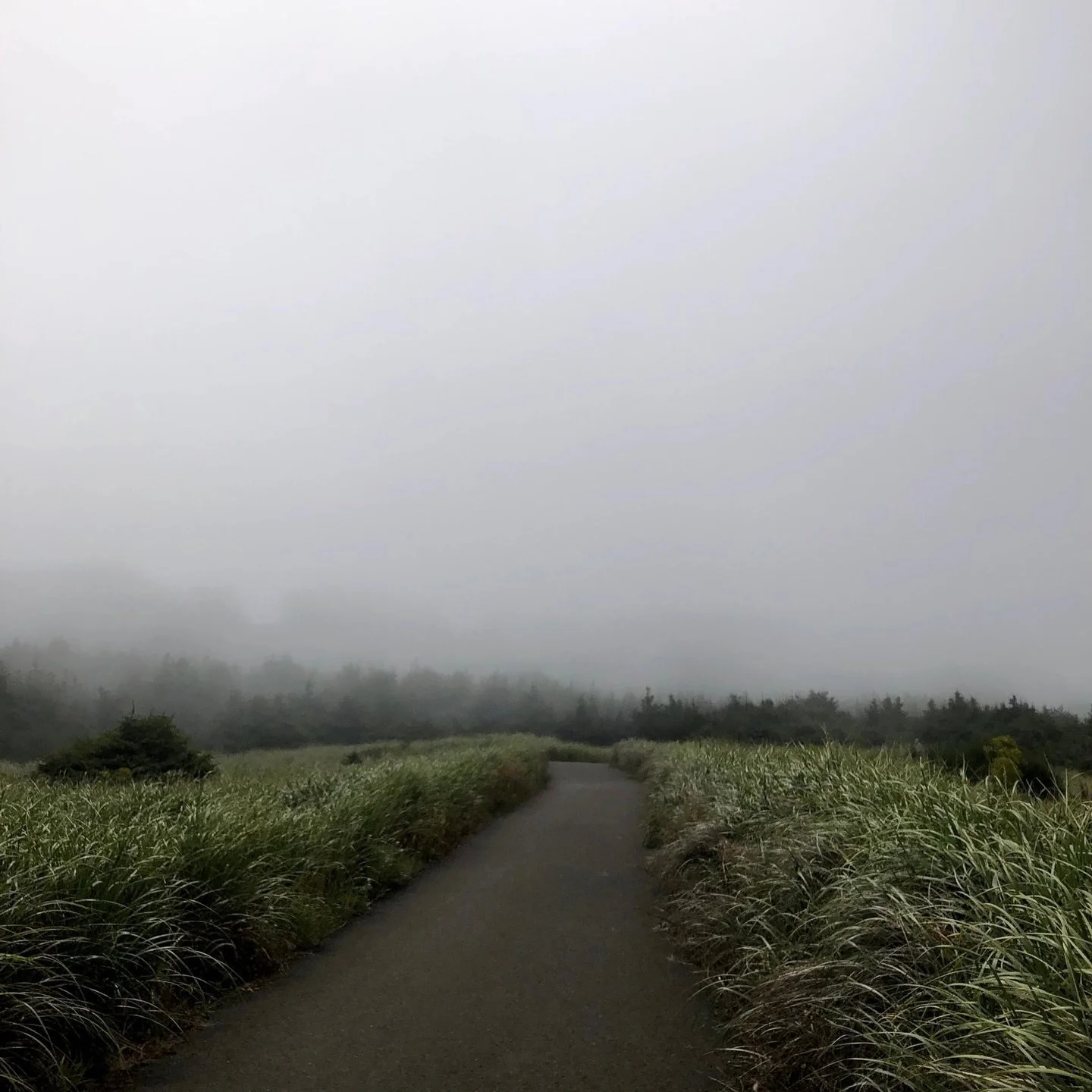 The longer you stay, the more you save.

10% off your first night, 20% off your second, 30% off 3+.

Souwesterlodge.com/specials to book your next extended getaway.