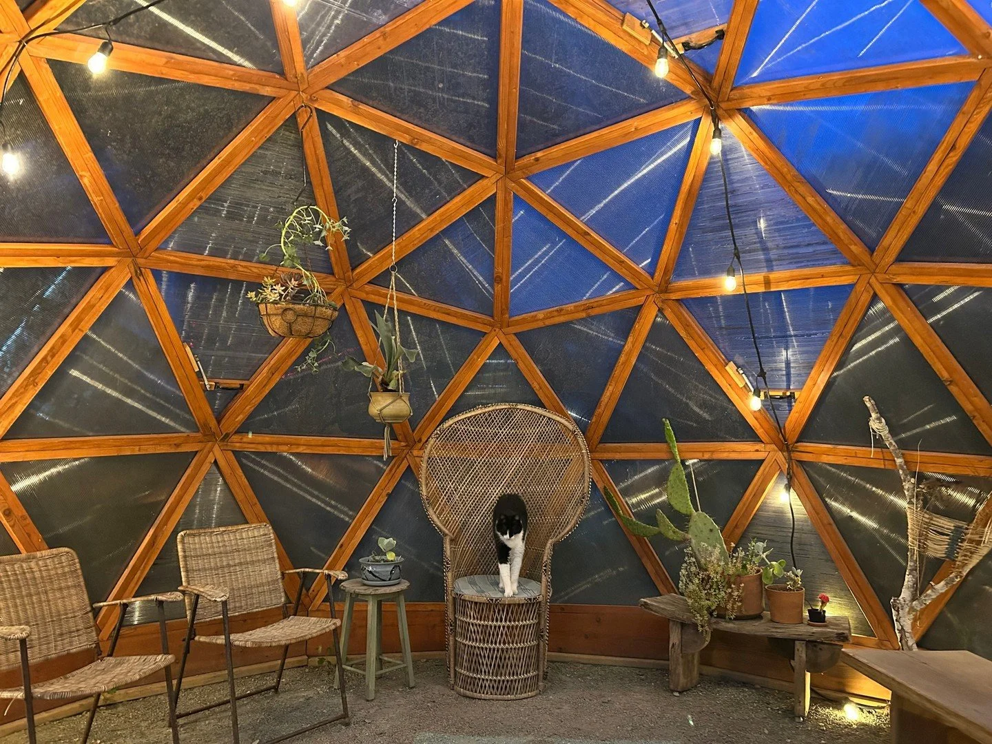 The Discover Our Coast Readers&rsquo; Choice Awards are ON! 🌊✨

The Sou&rsquo;wester has been nominated for Best Lodging and Best Music Venue. We&rsquo;d love your vote. You can vote once a day here: discoverourcoast.com/contests/readers-choice-awar