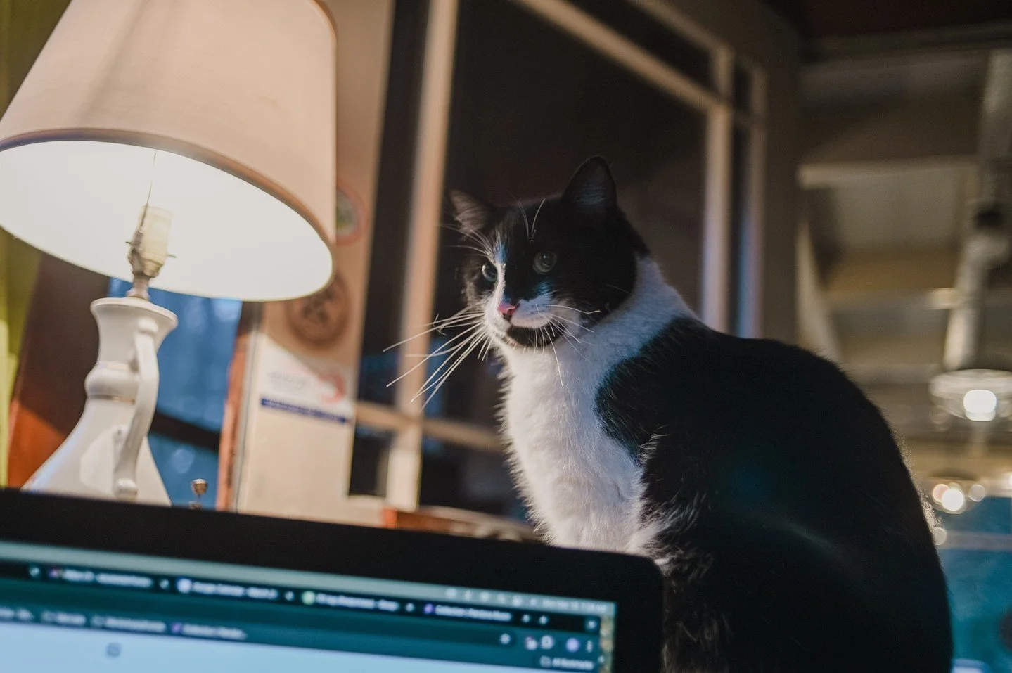 The Discover Our Coast Readers&rsquo; Choice Awards are ON! 🌊✨

The Sou&rsquo;wester has been nominated for Best Lodging and Best Music Venue. We&rsquo;d love your vote. You can vote once a day here: discoverourcoast.com/contests/readers-choice-awar