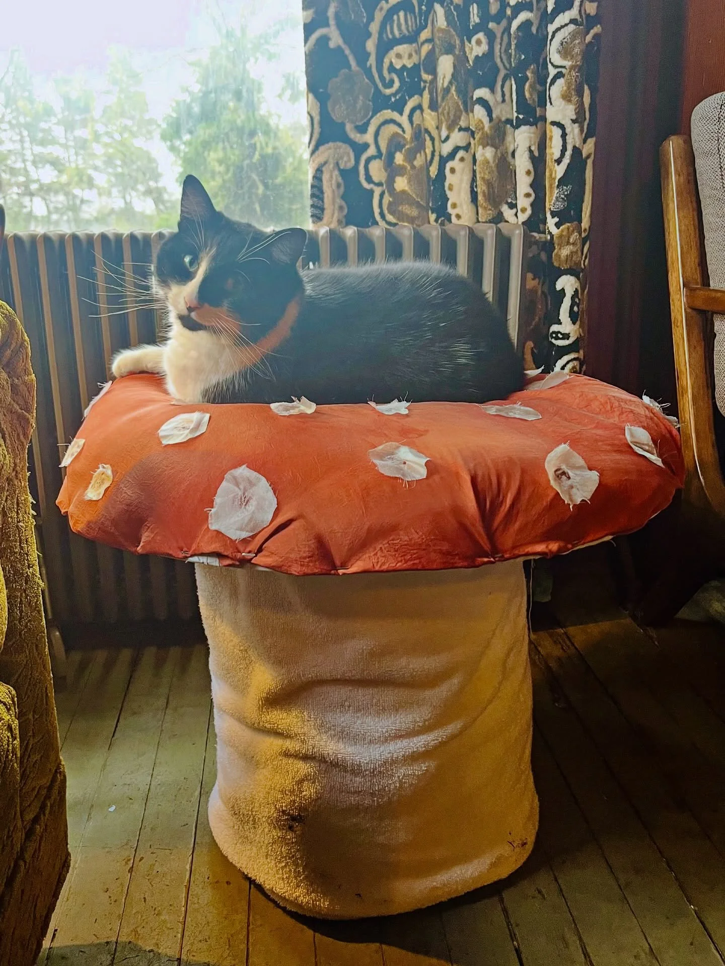 Mr. Meatball is rolling out the welcome mat for Sou&rsquo;wester Arts Week 2026!!!

Three Days. Five Venues. Sixty+ Exhibitions. Free and Open to the Public March 13-15.

The Weekend Schedule:

Friday, March 13
5&ndash;7pm | Ilwaco Artworks | Ceramic