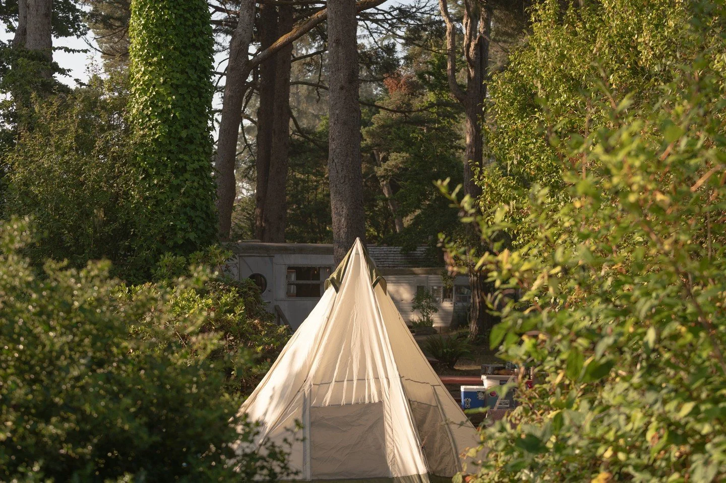 The Discover Our Coast Readers&rsquo; Choice Awards are ON! 🌊✨

The Sou&rsquo;wester has been nominated for Best Lodging and Best Music Venue. We&rsquo;d love your vote. You can vote once a day here: discoverourcoast.com/contests/readers-choice-awar