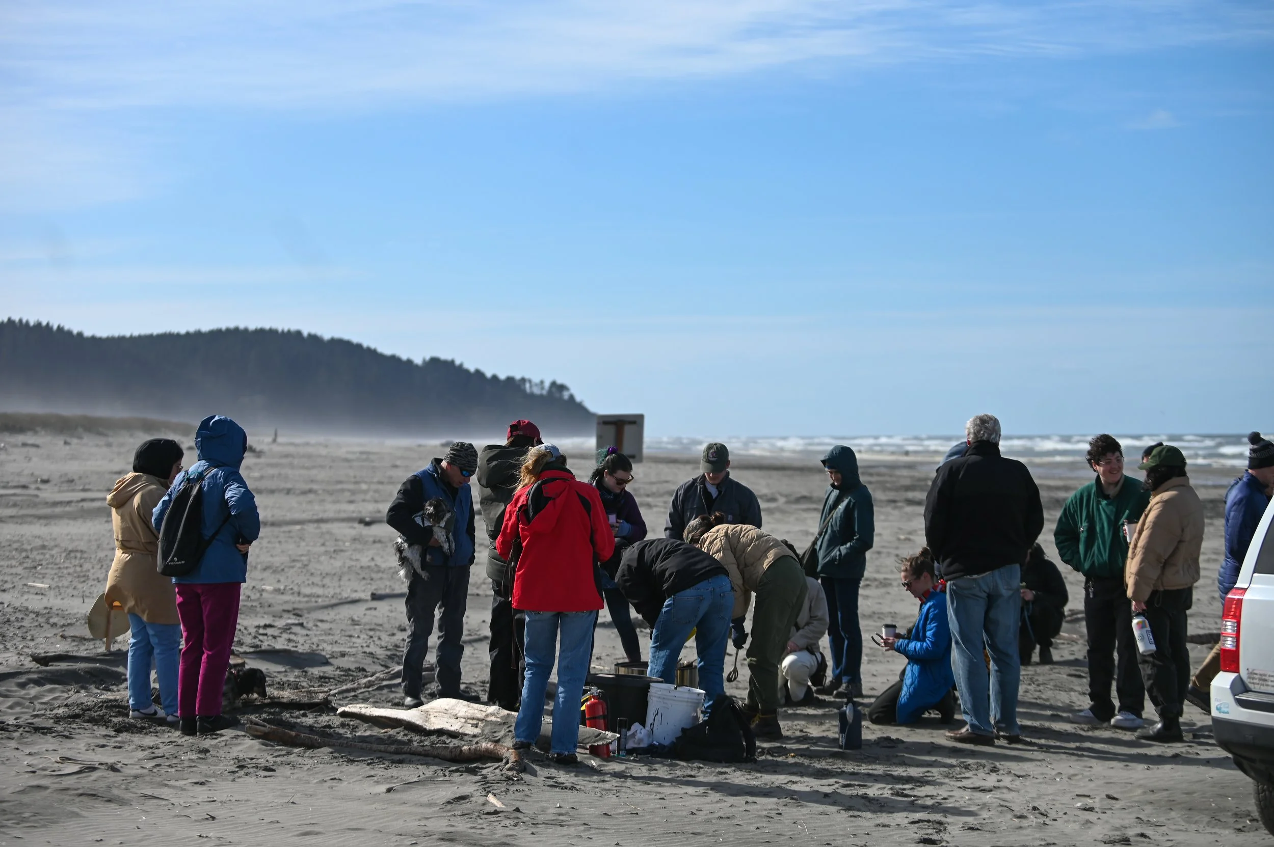 Group of people gathered on a sandy beach, some kneeling and some standing, with a few holding small dogs. The background shows the ocean with waves and a distant forested shoreline under a blue sky.