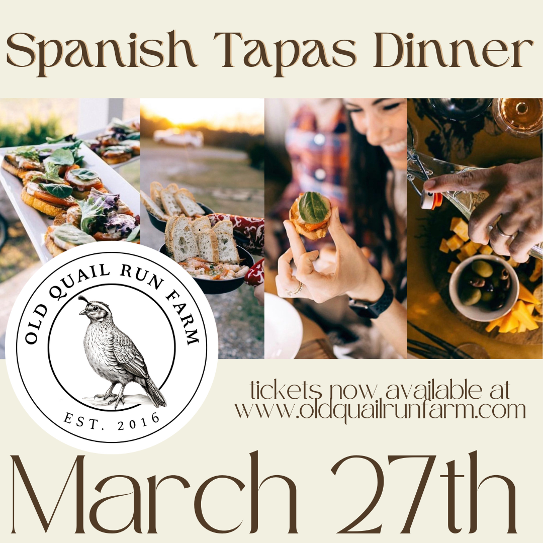 Spanish Tapas Dinner