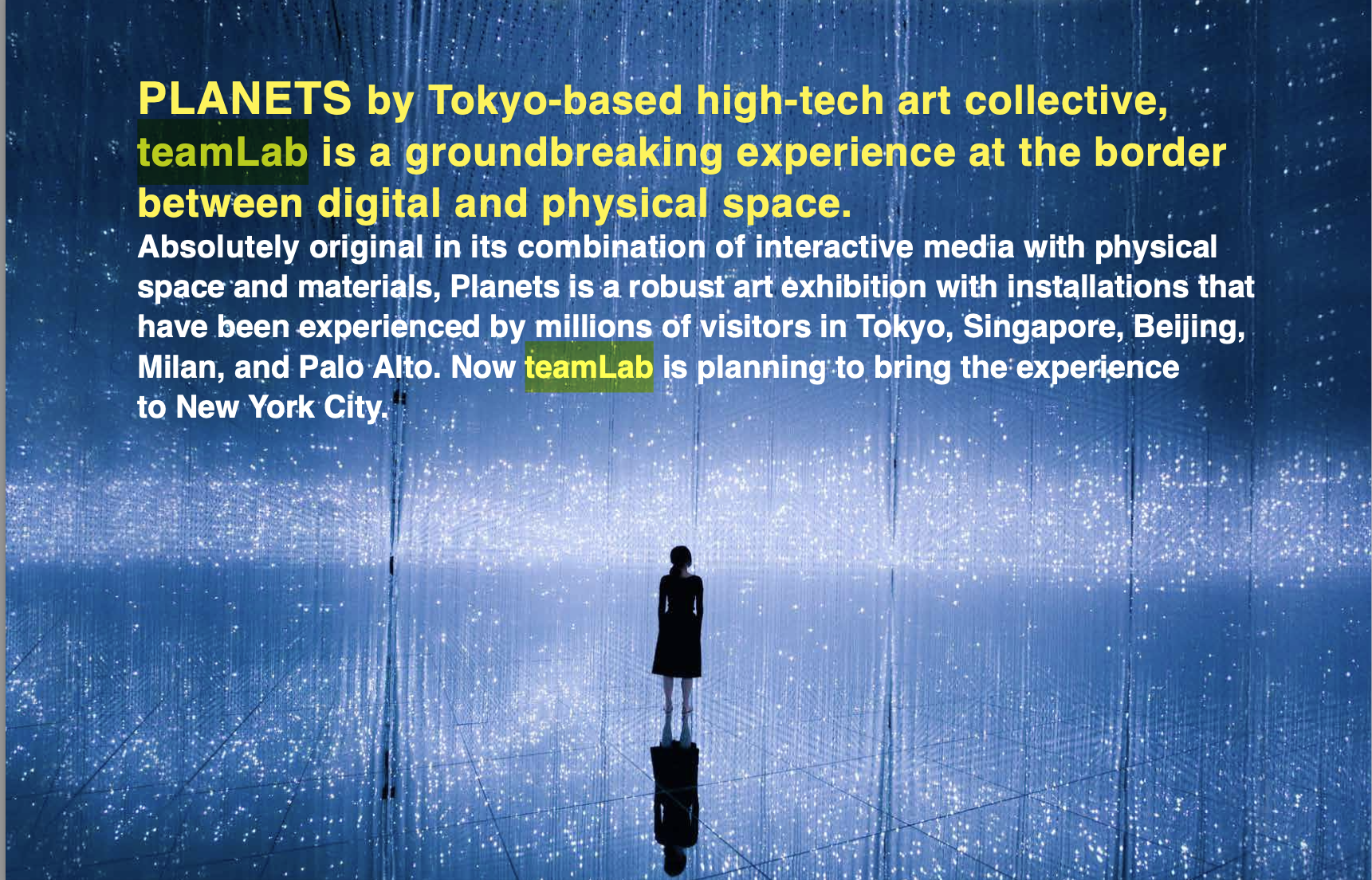 teamLab 3.png