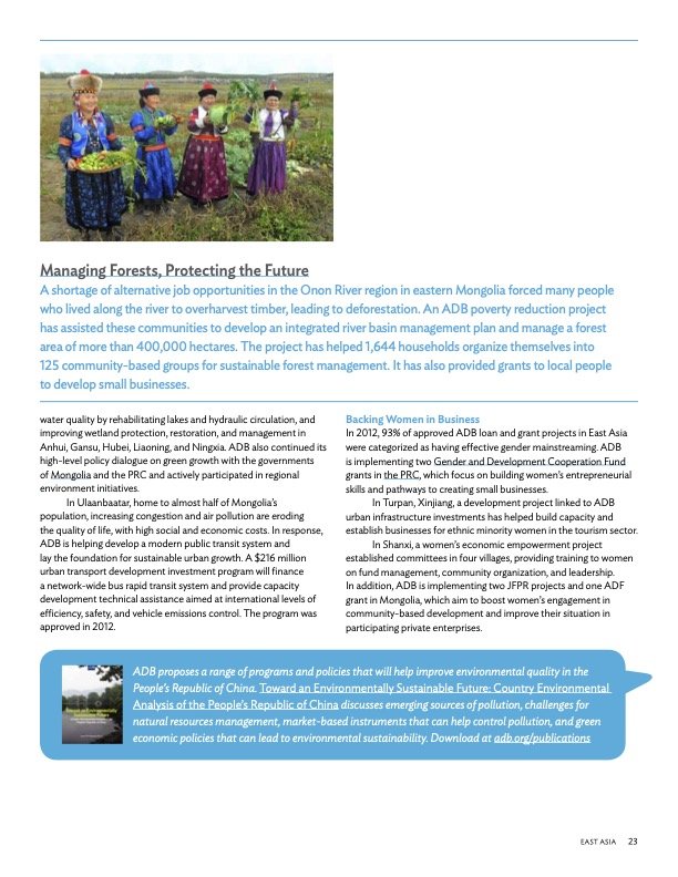adb-annual-report-2012 5.jpg