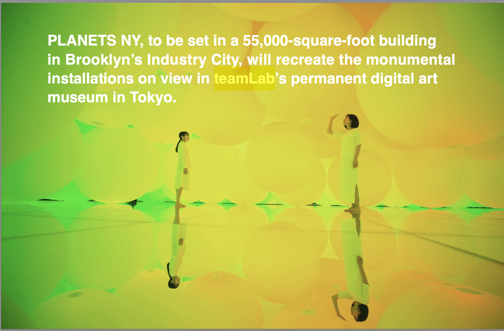 teamLab