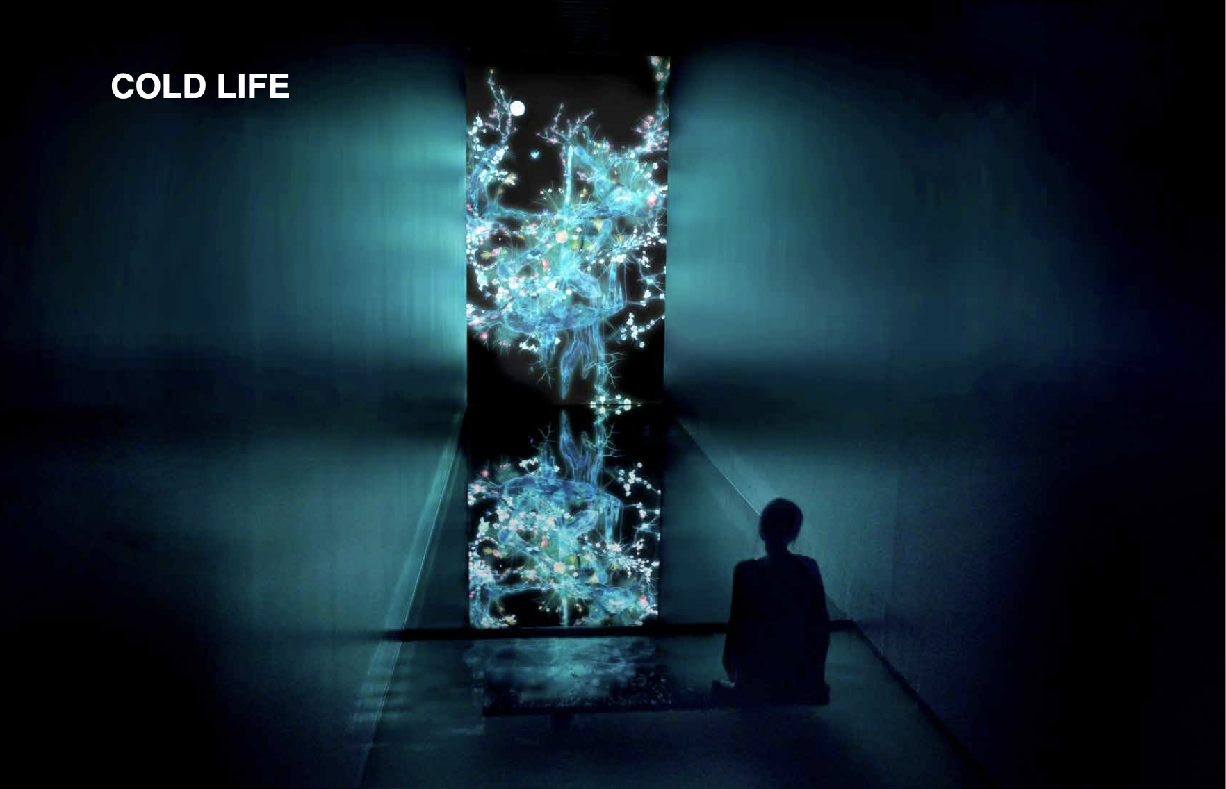 teamLab