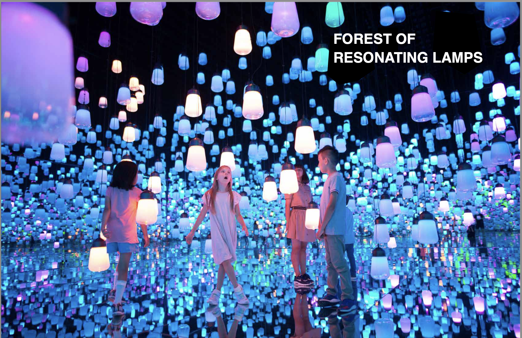 teamLab 6.png