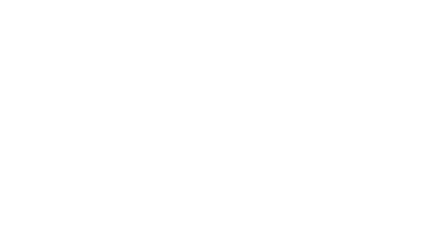 Orphan To Heir