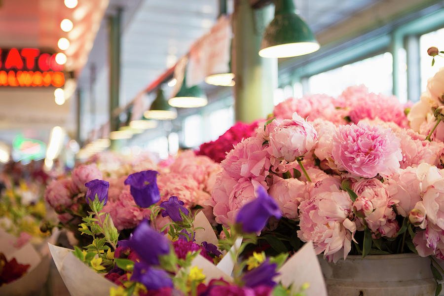 peonies-at-pike-place-market-stephanie-mcdowell.jpeg