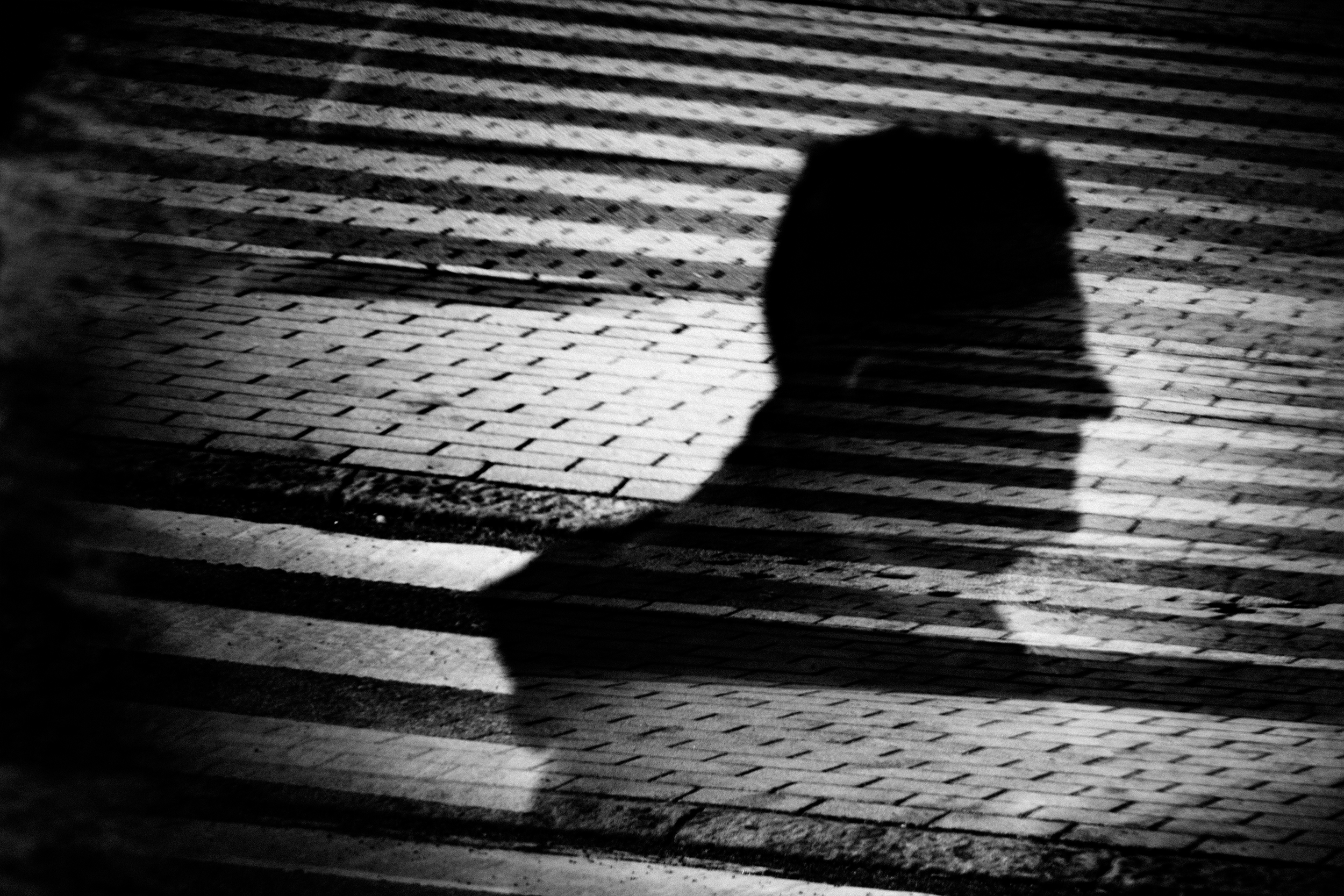 A shadow of a person's head and shoulders cast on a zebra crossing, creating a silhouette effect in black and white.